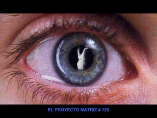 EL PROYECTO MATRIZ # 125
 