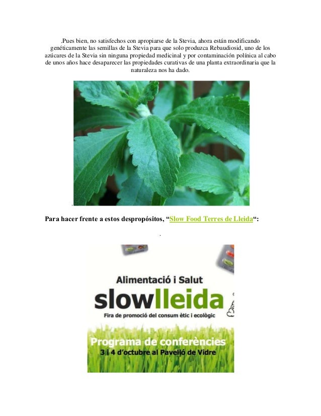 La Stevia, planta prohibida La Stevia, planta prohibida