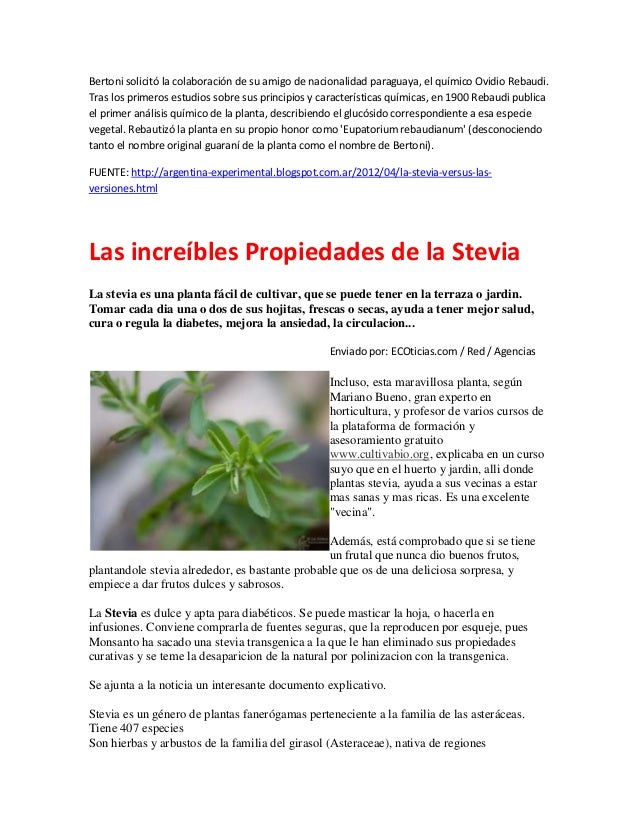 La Stevia, planta prohibida La Stevia, planta prohibida