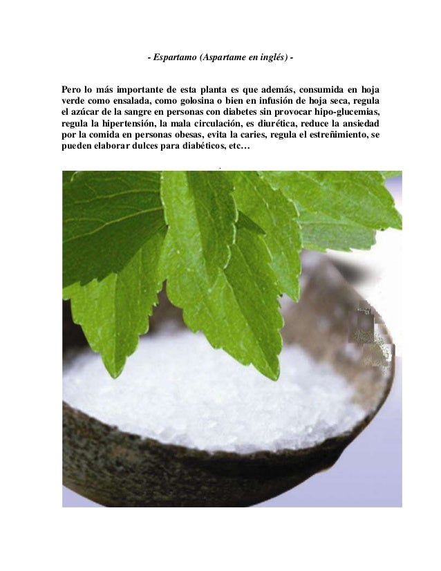 La Stevia, planta prohibida La Stevia, planta prohibida