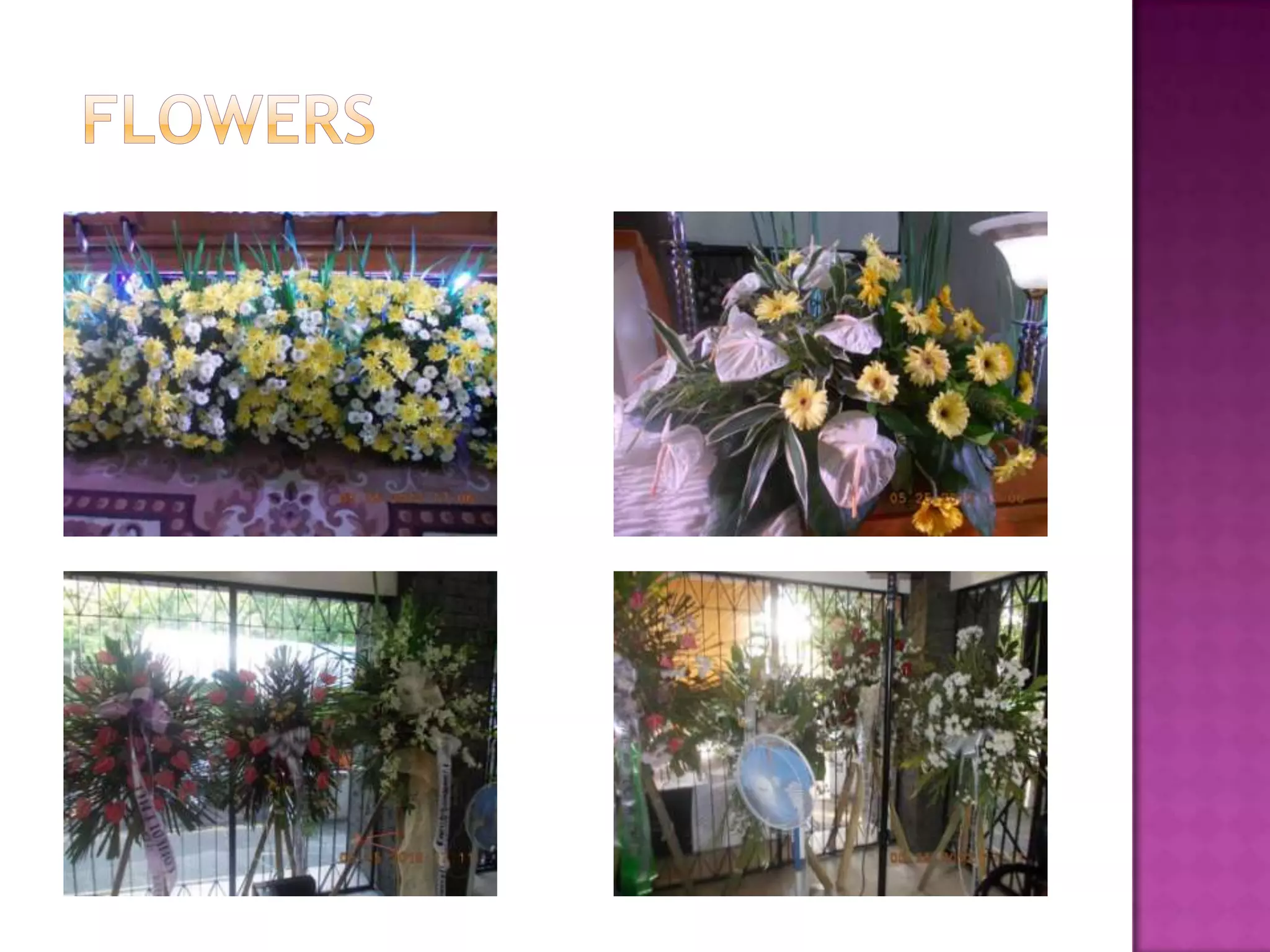 Last goodbye for sixto u