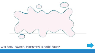 WILSON DAVID PUENTES RODRIGUEZ
