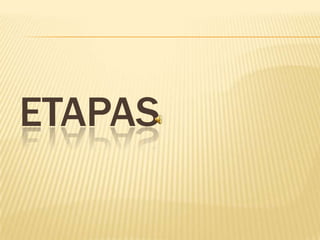 ETAPAS