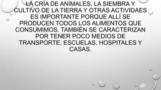 LA CRÍA DE ANIMALES, LA SIEMBRA Y
CULTIVO DE LA TIERRA Y OTRAS ACTIVIDAES
ES IMPORTANTE PORQUE ALLÍ SE
PRODUCEN TODOS LOS ALIMENTOS QUE
CONSUMIMOS. TAMBIÉN SE CARACTERIZAN
POR TENER POCO MEDIOS DE
TRANSPORTE, ESCUELAS, HOSPITALES Y
CASAS.
 