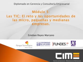 Módulo 5:
Las TIC; El reto y las oportunidades de
   las micro, pequeñas y medianas
               empresas.


            Esteban Reyes Marcano
 