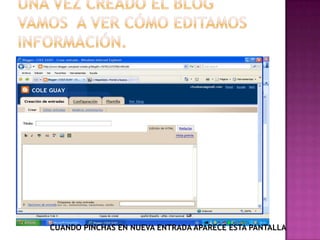 CUANDO PINCHAS EN NUEVA ENTRADA APARECE ESTA PANTALLA
 