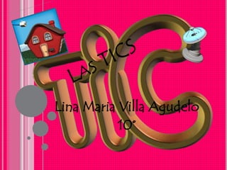 Lina Maria Villa Agudelo
10°
 
