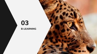 B-LEARNING
03
 