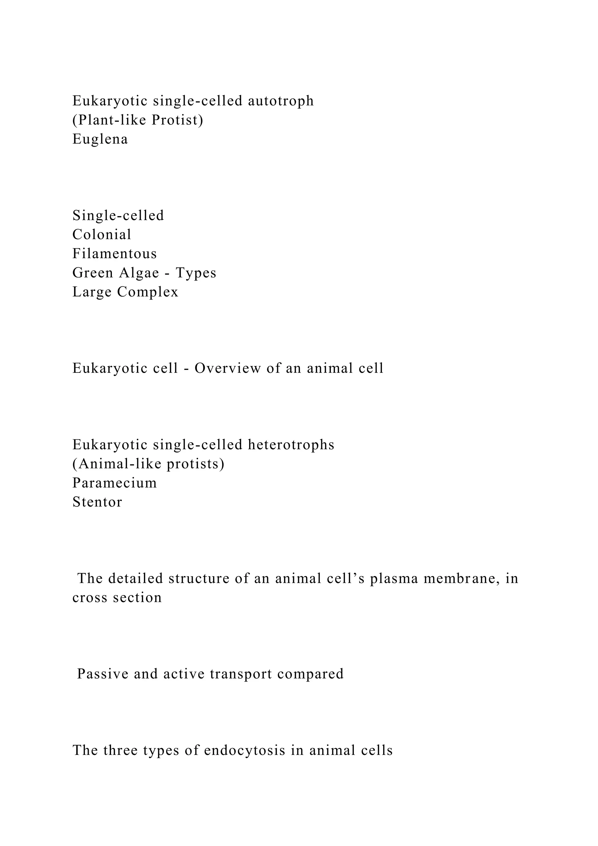 Eukaryotic single-celled autotroph
(Plant-like Protist)
Euglena
Single-celled
Colonial
Filamentous
Green Algae - Types
Large Complex
Eukaryotic cell - Overview of an animal cell
Eukaryotic single-celled heterotrophs
(Animal-like protists)
Paramecium
Stentor
The detailed structure of an animal cell’s plasma membrane, in
cross section
Passive and active transport compared
The three types of endocytosis in animal cells
 