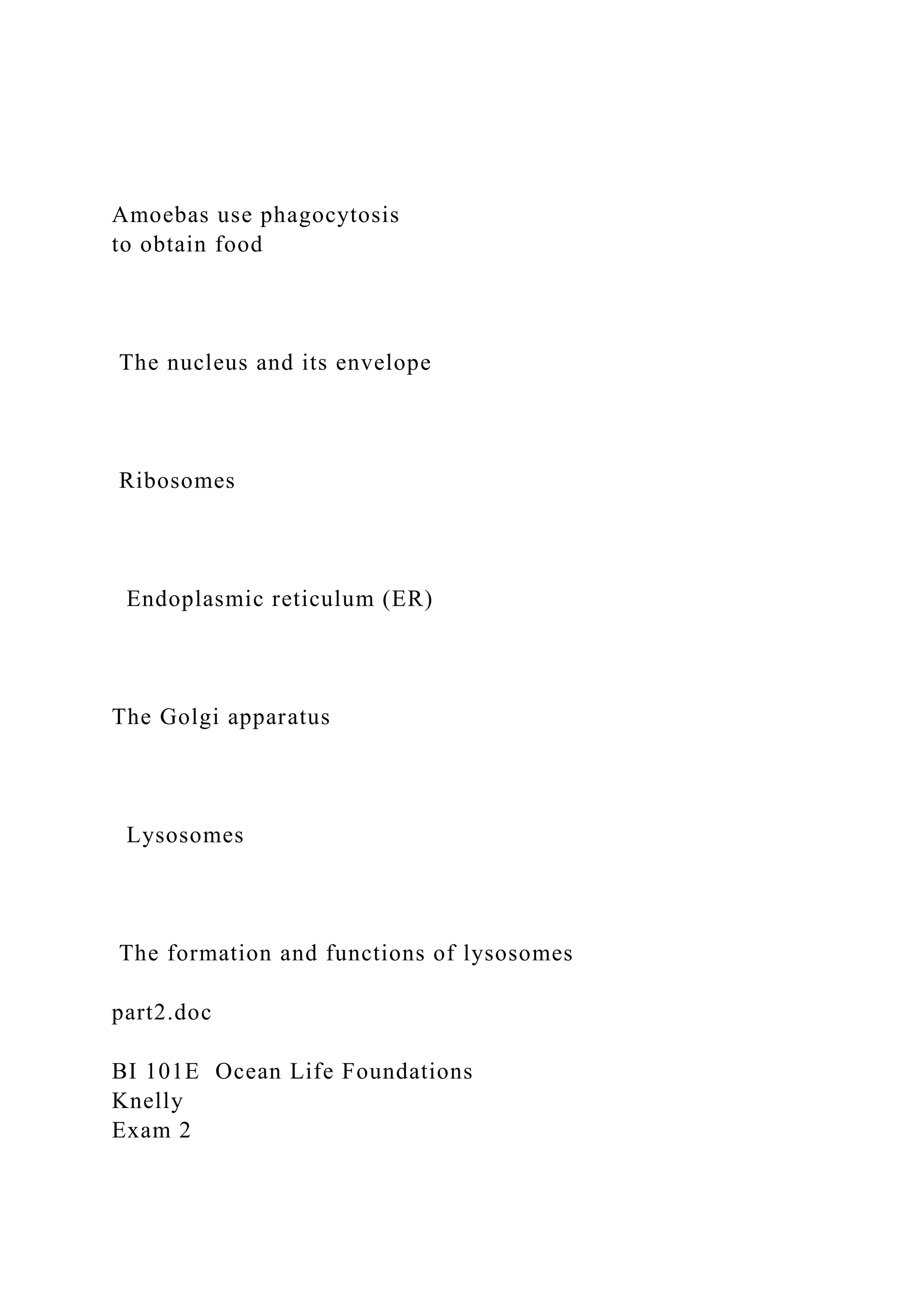 Amoebas use phagocytosis
to obtain food
The nucleus and its envelope
Ribosomes
Endoplasmic reticulum (ER)
The Golgi apparatus
Lysosomes
The formation and functions of lysosomes
part2.doc
BI 101E Ocean Life Foundations
Knelly
Exam 2
 