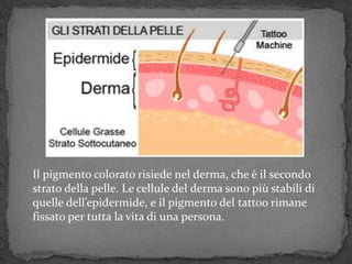 Il pigmento colorato risiede nel derma, che è il secondo
strato della pelle. Le cellule del derma sono più stabili di
quelle dell’epidermide, e il pigmento del tattoo rimane
fissato per tutta la vita di una persona.
 