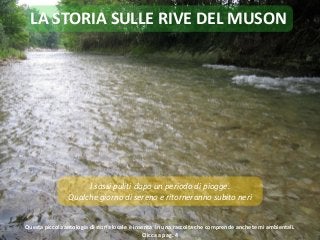 LA STORIA SULLE RIVE DEL MUSON
I sassi puliti dopo un periodo di piogge.
Qualche giorno di sereno e ritorneranno subito neri
Questa piccola antologia di storia locale è inserita in una raccolta che comprende anche temi ambientali.
Clicca a pag. 4
 