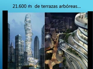 21.600 m de terrazas arbóreas…2