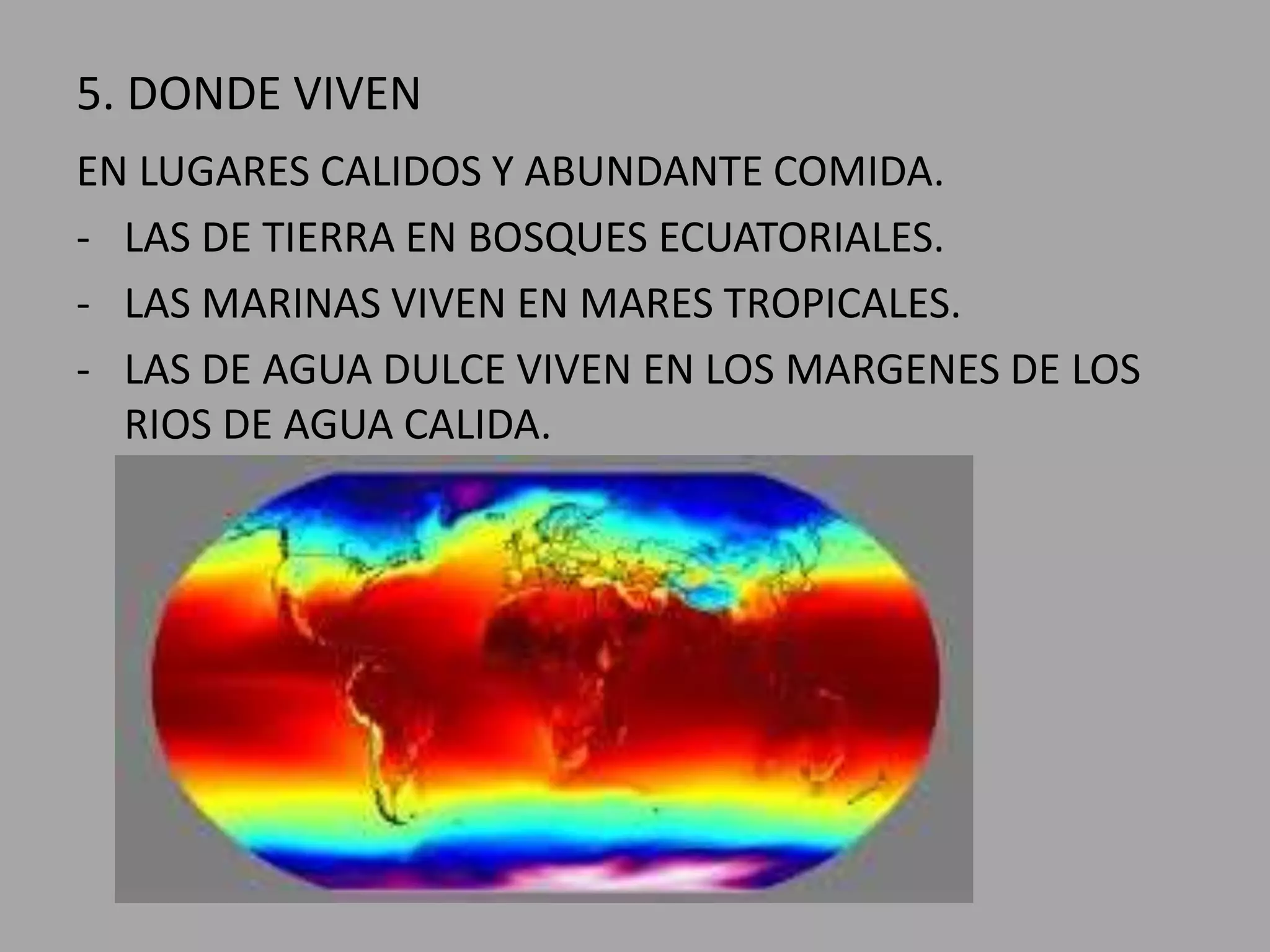5. DONDE VIVEN
EN LUGARES CALIDOS Y ABUNDANTE COMIDA.
- LAS DE TIERRA EN BOSQUES ECUATORIALES.
- LAS MARINAS VIVEN EN MARES TROPICALES.
- LAS DE AGUA DULCE VIVEN EN LOS MARGENES DE LOS
RIOS DE AGUA CALIDA.
 