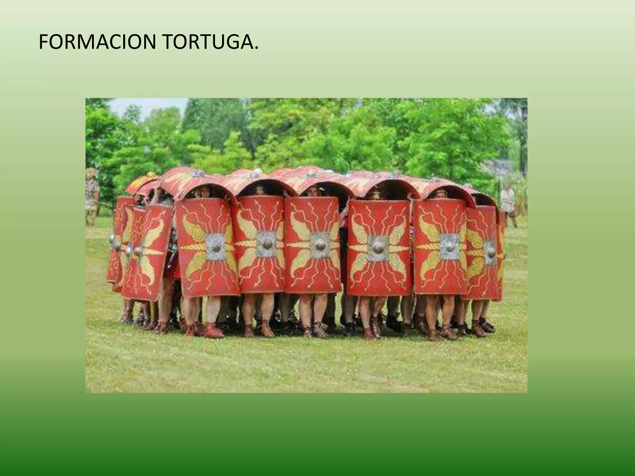 FORMACION TORTUGA.
 