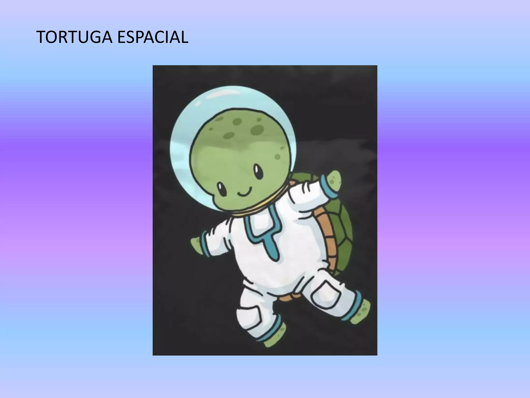 TORTUGA ESPACIAL
 