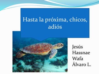 Hasta la próxima, chicos,
adiós
Jesús
Hassnae
Wafa
Álvaro L.
