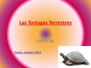 Las Tortugas Terrestres
Delfina Bal
Fecha: octubre 2013

 