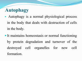 Autophagy
 Autophagy is a normal physiological process
in the body that deals with destruction of cells
in the body.
 It maintains homeostasis or normal functioning
by protein degradation and turnover of the
destroyed cell organelles for new cell
formation.
 