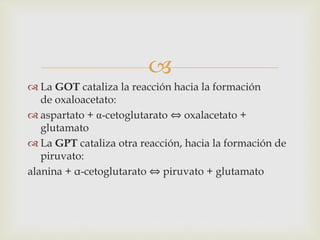  
 La GOT cataliza la reacción hacia la formación 
de oxaloacetato: 
 aspartato + α-cetoglutarato ⇔ oxalacetato + 
glutamato 
 La GPT cataliza otra reacción, hacia la formación de 
piruvato: 
alanina + α-cetoglutarato ⇔ piruvato + glutamato 
 