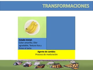 Estado Inicial:
Color amarillo; Olor
agradable; Textura lisa y
firme al tacto
Estado Final:
Color negro, olor
desagradable, Textura
rugosa y suave al tacto
Agente de cambio:
Proceso de maduración