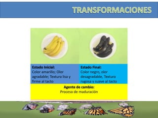 Estado Inicial:
Color amarillo; Olor
agradable; Textura lisa y
firme al tacto
Estado Final:
Color negro, olor
desagradable, Textura
rugosa y suave al tacto
Agente de cambio:
Proceso de maduración