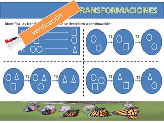 Identifica las transformaciones que se describen a continuación:
T1:
T2:
T3:
T2 T3
T1 T2
T3 T2