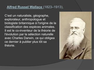C’est un naturaliste, géographe,
explorateur, anthropologue et
biologiste britannique à l'origine de la
classification des espèces animales.
Il est le co-inventeur de la théorie de
l'évolution par la sélection naturelle
avec Charles Darwin, ce qui obligea
ce dernier à publier plus tôt sa
théorie.
Alfred Russel Wallace (1823–1913),
 