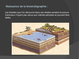 -Naissance de la biostratigraphie :
Les fossiles que l'on découvre dans ces strates seraient la preuve
d'animaux n'ayant pas vécus aux mêmes périodes et pouvant être
datés.
 