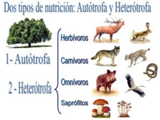 Imagen relacionada