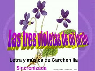 Letra y música de Carchenilla
Composición Juan Braulio ArzozSincronizada
 