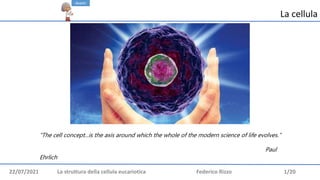 22/07/2021 La struttura della cellula eucariotica Federico Rizzo 1/20
La cellula
“The cell concept...is the axis around which the whole of the modern science of life evolves.”
Paul
Ehrlich
Avanti
 