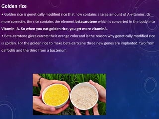 Genetically Modified Giant Rice IPR & Crop Improvment | PPTX