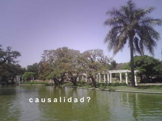 c a u s a l i d a d ?