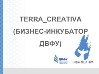 TERRA_CREATIVA (БИЗНЕС-ИНКУБАТОР ДВФУ ) 