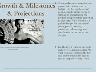 Beyonce project | PPT