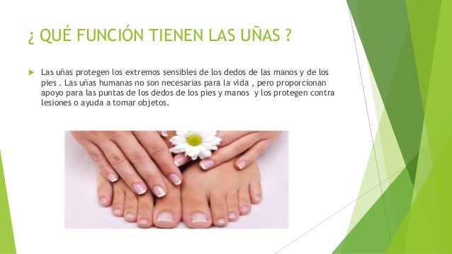 Las uñas