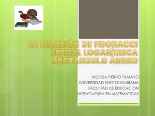 MELISSA FIERRO TAMAYO
UNIVERSIDAD SURCOLOMBIANA
FACULTAD DE EDUCACION
LICENCIATURA EN MATEMATICAS
 