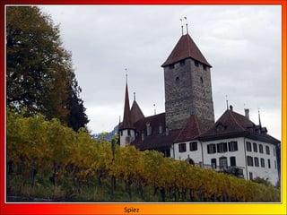 Spiez