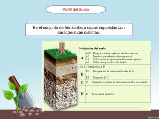 Perfil del Suelo
Es el conjunto de horizontes o capas supuestas con
características distintas.
 