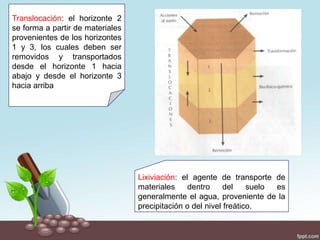 Translocación: el horizonte 2
se forma a partir de materiales
provenientes de los horizontes
1 y 3, los cuales deben ser
removidos y transportados
desde el horizonte 1 hacia
abajo y desde el horizonte 3
hacia arriba
Lixiviación: el agente de transporte de
materiales dentro del suelo es
generalmente el agua, proveniente de la
precipitación o del nivel freático.
 