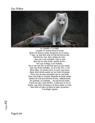 SacNikte
Sagricán
Página42
EL ZORRO Y LA MIEL
Levante mi mirada hacia la noche
Sentí una fresca y dulce sensación en mi rostro....
Y dije....la luna llora ante el final del décimo día,
Del décimo mes...llora gotitas de miel...
Que una a una endulzan toda mi piel
Que hay en esta noche, aparte de frio...
Uno que no llega a ser molesto...
De un día que aún no termina pero ya casi muere...
Que hay de las estrellas, no sé si las miro, o me
Miran ellas, me siento como un zorro que busca
Algún árbol donde pueda ver por todo el bosque,
Como uno de esos animalitos que su piel brilla,
Pero más brilla su corazón después de sentir tantas
Gotitas de miel que derrama la luna, calladamente,
Sin pedirlas, sin soñarlas… las percibe las bebe,
Cierra sus ojos, para abrirlos, y sabe que no es un
Sueño, que entre el bosque y la tierra existe un cielo,
Que entre el cielo y el alma se tejen recuerdos,
Y se añejan ayeres.
 