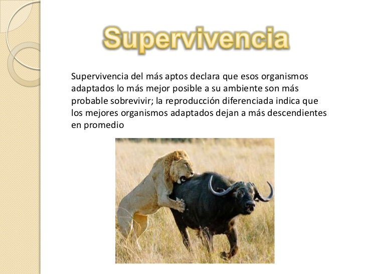 Teoria de la supervivencia del mas apto_teorias