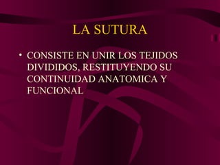LA SUTURA ,[object Object]