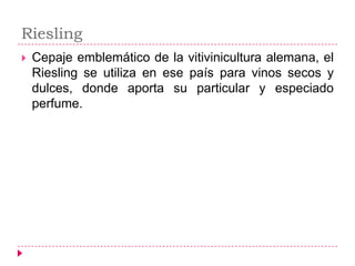 Riesling
   Cepaje emblemático de la vitivinicultura alemana, el
    Riesling se utiliza en ese país para vinos secos y
    dulces, donde aporta su particular y especiado
    perfume.
 