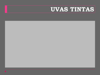 UVAS TINTAS
 