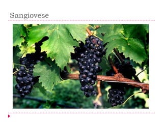 Sangiovese
 