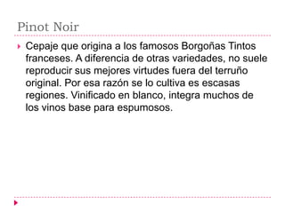 Pinot Noir
   Cepaje que origina a los famosos Borgoñas Tintos
    franceses. A diferencia de otras variedades, no suele
    reproducir sus mejores virtudes fuera del terruño
    original. Por esa razón se lo cultiva es escasas
    regiones. Vinificado en blanco, integra muchos de
    los vinos base para espumosos.
 