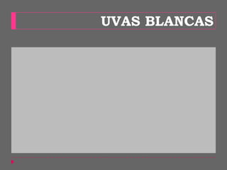UVAS BLANCAS
 