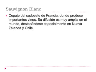 Sauvignon Blanc
   Cepaje del sudoeste de Francia, donde produce
    importantes vinos. Su difusión es muy amplia en el
    mundo, destacándose especialmente en Nueva
    Zelanda y Chile.
 